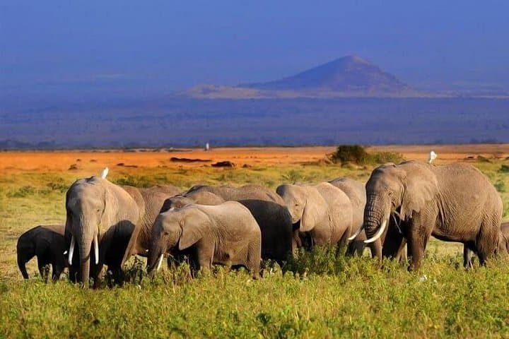 5-Day Private Safari: Maasai Mara, Lake Nakuru & Samburu Lodges photo 2