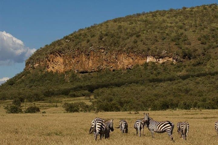 5-Day Private Safari: Maasai Mara, Lake Nakuru & Samburu Lodges photo 3