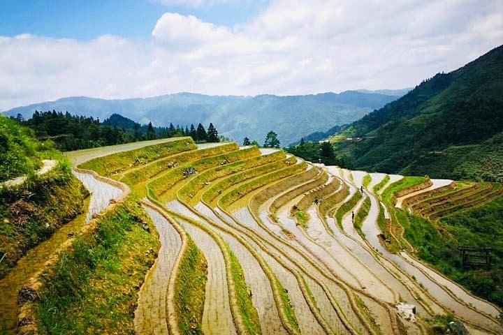 Longji Rice Terraces Private Day Tour from Guilin — Dragon’s Backbone Hike & Ping'an Village photo 2