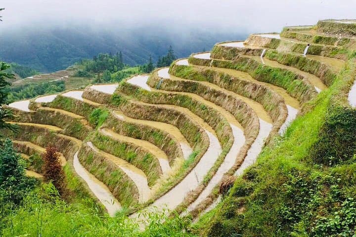 Longji Rice Terraces Private Day Tour from Guilin — Dragon’s Backbone Hike & Ping'an Village photo 3