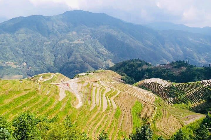 Dragon's Backbone Private Day Tour to Longji Rice Terraces from Yangshuo photo 6