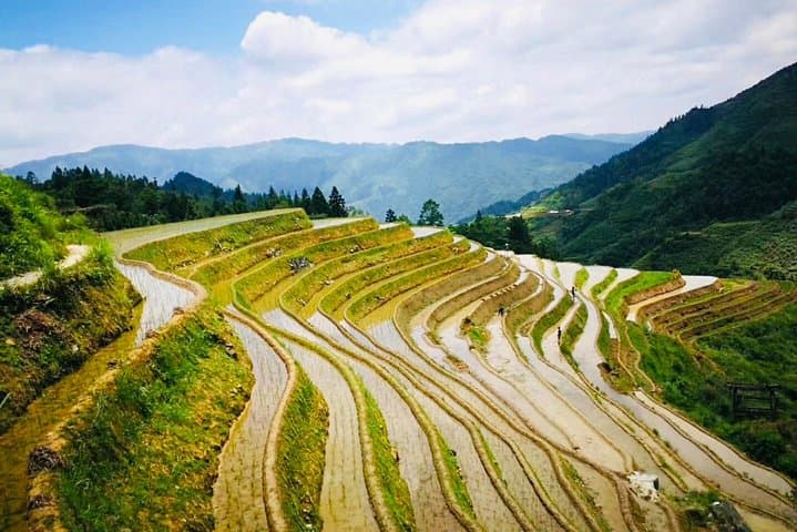 Dragon's Backbone Private Day Tour to Longji Rice Terraces from Yangshuo