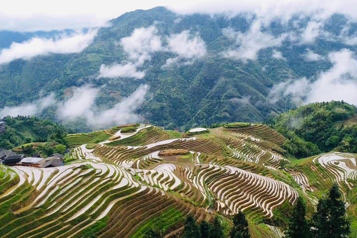 Dragon's Backbone Private Day Tour to Longji Rice Terraces from Yangshuo photo 3