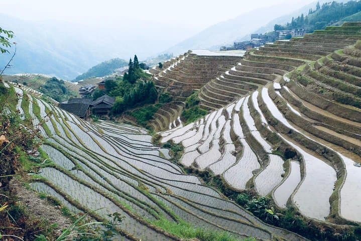 Dragon's Backbone Private Day Tour to Longji Rice Terraces from Yangshuo photo 4