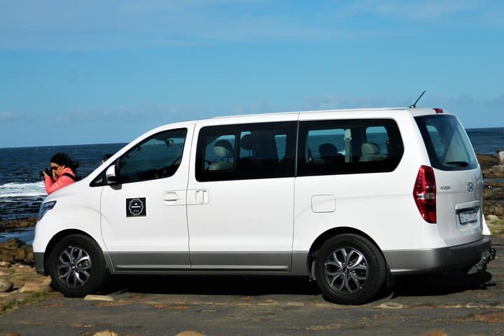 Chapman's Peak to Cape Point: Penguins, Cliffs and Coastal Drive from Cape Town photo 5