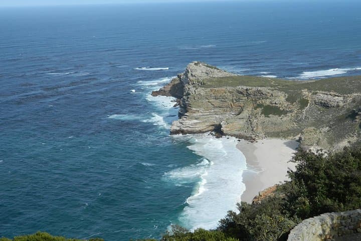 Chapman's Peak to Cape Point: Penguins, Cliffs and Coastal Drive from Cape Town photo 6