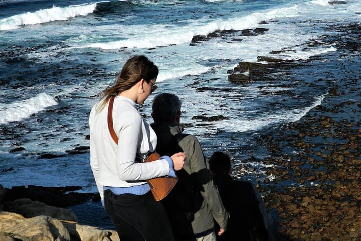 Chapman's Peak to Cape Point: Penguins, Cliffs and Coastal Drive from Cape Town