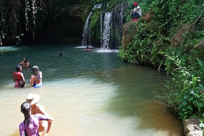 Ngare Ndare Forest Excursion: Canopy Walks, Waterfalls & Forest Trails Near Nanyuki photo 3