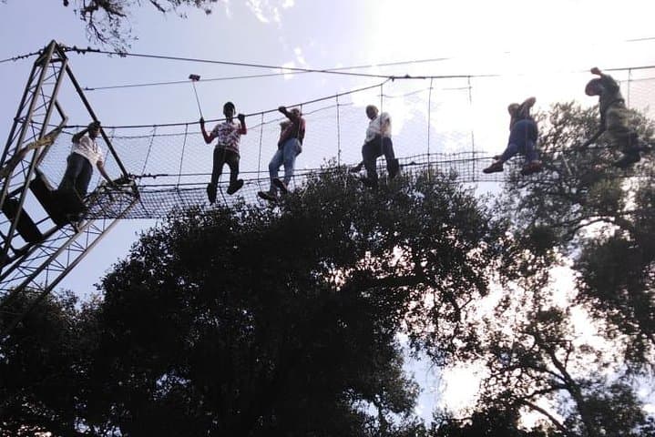 Ngare Ndare Forest Excursion: Canopy Walks, Waterfalls & Forest Trails Near Nanyuki photo 4