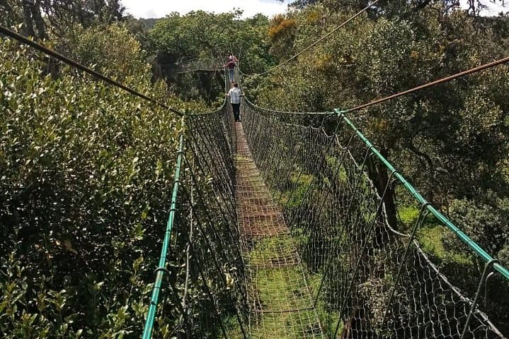 Ngare Ndare Forest Excursion: Canopy Walks, Waterfalls & Forest Trails Near Nanyuki photo 6