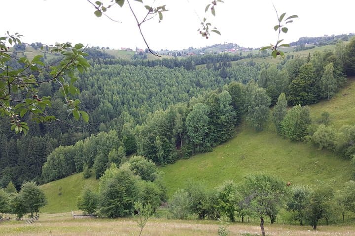 Brasov Off-road Tour: Remote Villages & Off-Road Tracks in Barsei Country photo 3