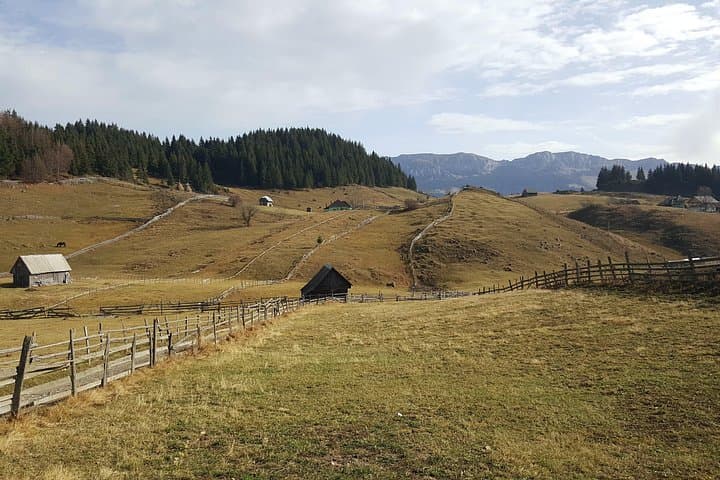 Brasov Off-road Tour: Remote Villages & Off-Road Tracks in Barsei Country photo 4