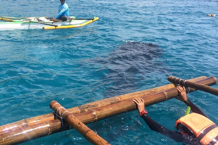 Oslob Whalesharks, Sumilon Sandbar & Aguinid Falls — Full-Day Swim and Waterfall Tour from Cebu photo 2