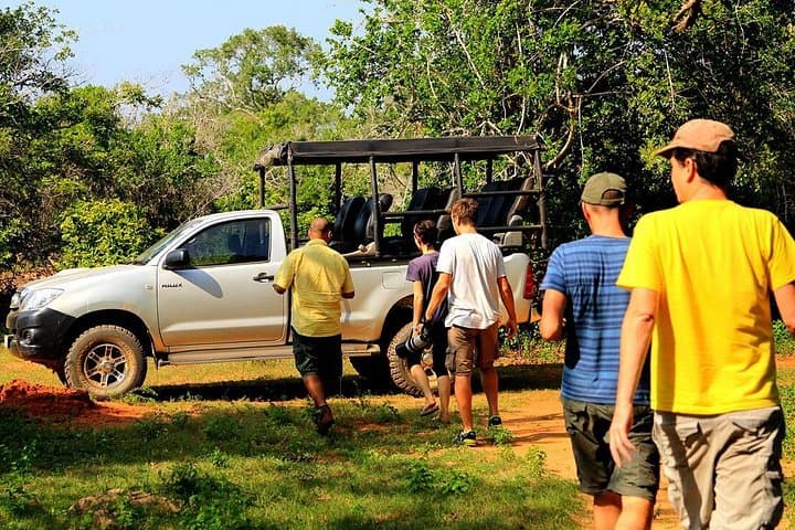Yala National Park Private Safari — Early-Morning Leopard, Elephant & Sloth Bear Jeep Tour photo 4