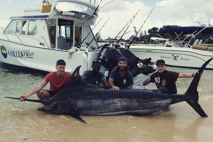 Blue Marlin Big-Game Fishing with IGFA Captain Vic — Mauritius Half-Day photo 4