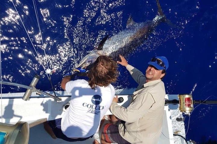 Blue Marlin Big-Game Fishing with IGFA Captain Vic — Mauritius Half-Day photo 6
