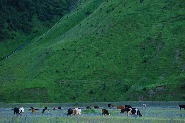 Kazbegi Adventure Day Trip from Tbilisi: Gergeti, Ananuri & Khinkali Masterclass photo 3