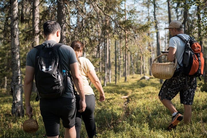 Lapland Wild Berry and Mushroom Foraging Tour from Rovaniemi photo 6