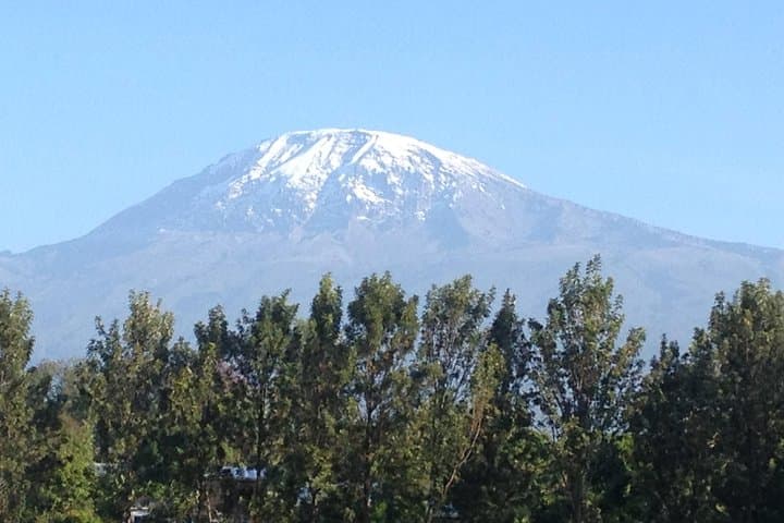 8-Day Lemosho Route Kilimanjaro Trek — Summit Uhuru Peak via Shira Plateau photo 4