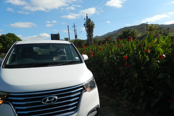 Cape Wine Farm Experience: Steenberg, Boschendal & Babylonstoren Day Tour photo 4