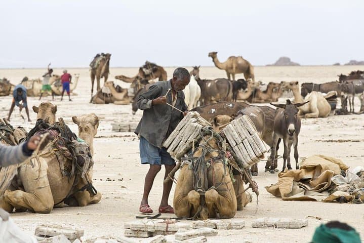 Danakil Depression Overland: Four-Day Erta Ale, Dallol & Salt-Plain Expedition photo 4