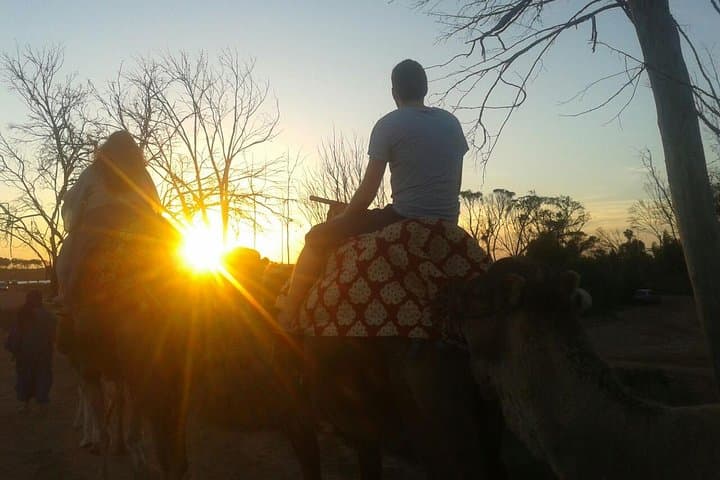 Agadir Camel Ride at Sunset with Barbecue Dinner and Souss Estuary Views photo 2