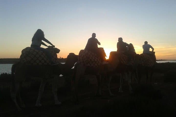 Agadir Camel Ride at Sunset with Barbecue Dinner and Souss Estuary Views photo 4