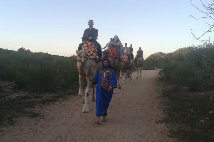 Agadir Camel Ride at Sunset with Barbecue Dinner and Souss Estuary Views photo 5