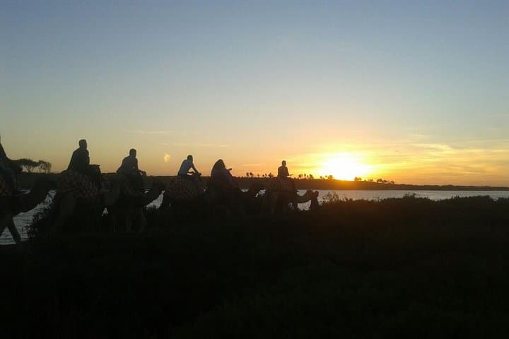 Agadir Camel Ride at Sunset with Barbecue Dinner and Souss Estuary Views photo 6