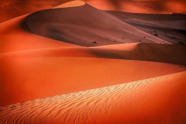 Red Dune Safari & Quad Bike Adventure in Dubai’s Lahbab Desert