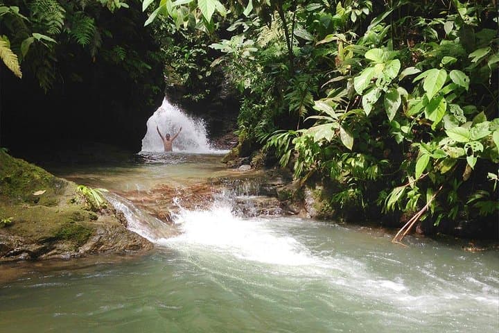 Ebano Waterfalls Rainforest Safari — Quepos 4x4 Waterfall Hike & Swim photo 4