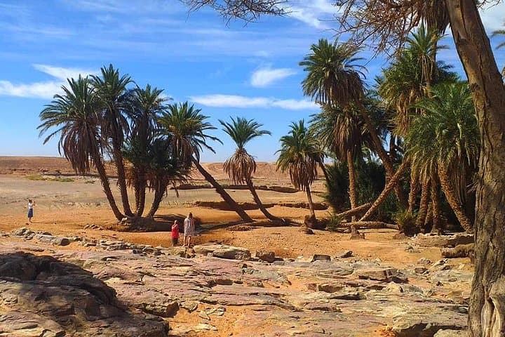 3-Day Erg Chigaga Desert Bivouac from Marrakech — Camel Ride & Dune Safari photo 2