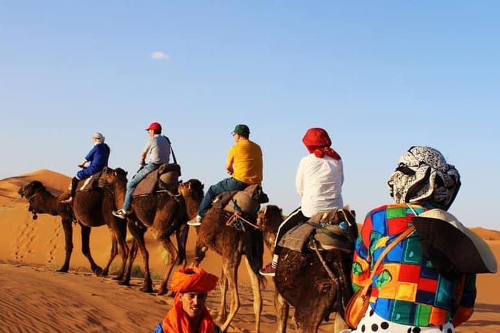 Sunrise Camel Ride on Erg Chebbi Dunes — Merzouga Desert Experience photo 3