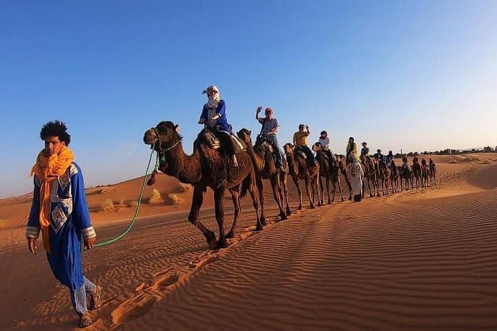Sunrise Camel Ride on Erg Chebbi Dunes — Merzouga Desert Experience
