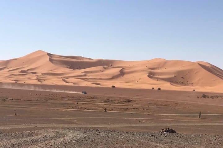 Sunrise Camel Ride on Erg Chebbi Dunes — Merzouga Desert Experience photo 4