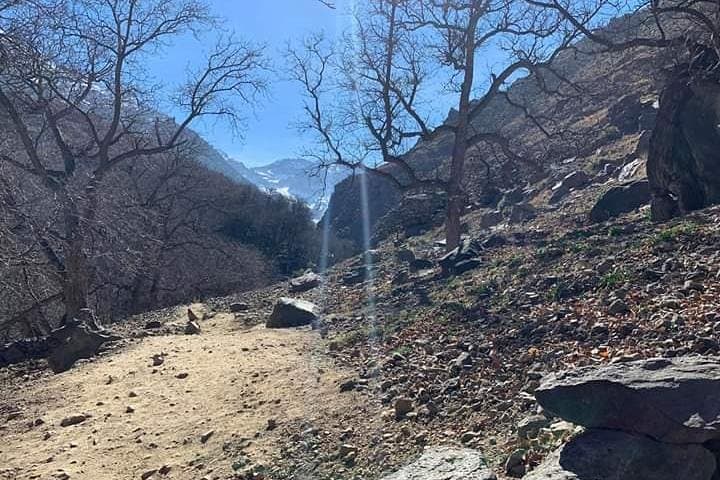 High Atlas Day Trip from Marrakech: Imlil Valley, Berber Villages & Waterfalls photo 4