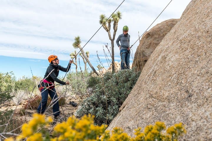 Joshua Tree 6-Hour Private Guided Rock Climb — Best Routes for Beginners & Intermediates photo 3