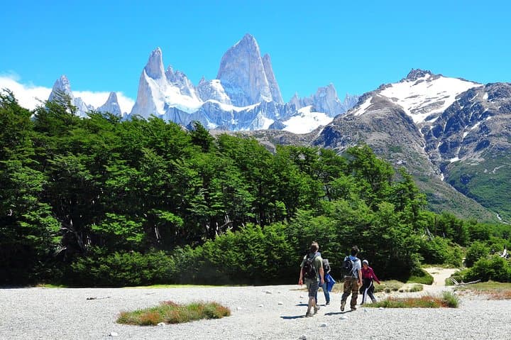 Chaltén Day Trek from El Calafate — Self-Guided Hike to Laguna Capri & Fitz Roy Views photo 4