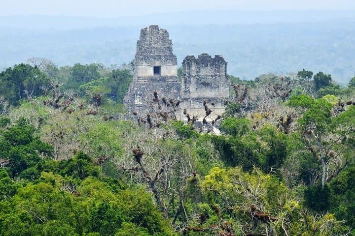 Tikal Day Trip by Air: Fly from Guatemala City to the Maya Temples photo 2
