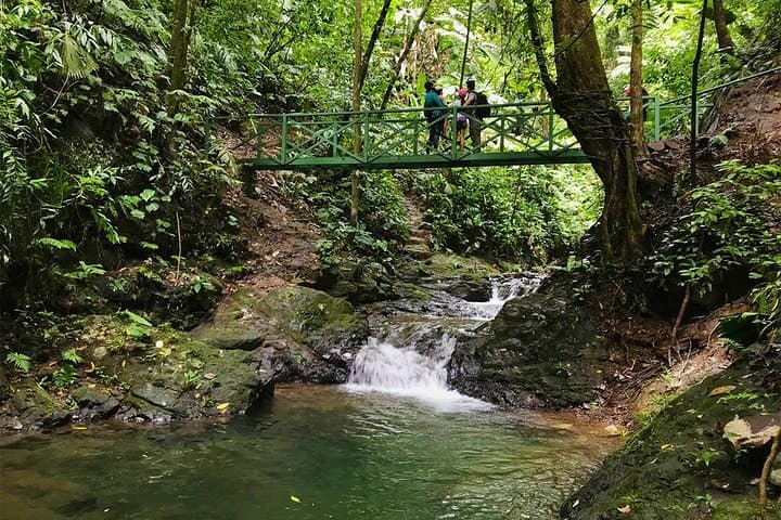 Ebano Waterfalls Rainforest Safari — Quepos 4x4 Waterfall Hike & Swim photo 5