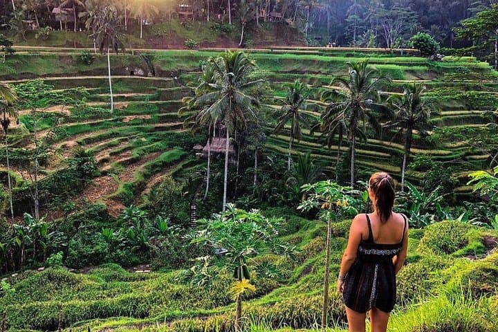 Private Ubud Day Tour: Tegalalang Rice Terraces, Monkey Forest & Jungle Swing photo 6