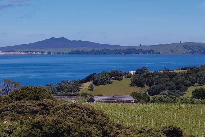 Waiheke Wine Escape: Full-Day Vineyard Tour from Auckland photo 2