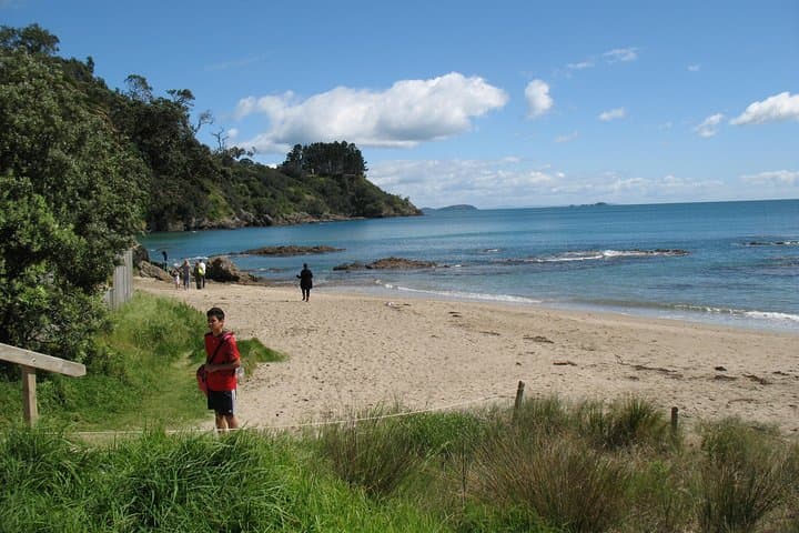 Waiheke Wine Escape: Full-Day Vineyard Tour from Auckland photo 4