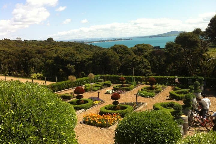 Waiheke Wine Escape: Full-Day Vineyard Tour from Auckland photo 6