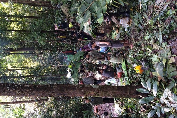 Wild Explorer: 3-Day Jungle Trek and Camp in Nam Ha National Protected Area photo 2
