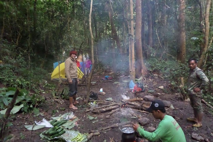 Wild Explorer: 3-Day Jungle Trek and Camp in Nam Ha National Protected Area photo 4