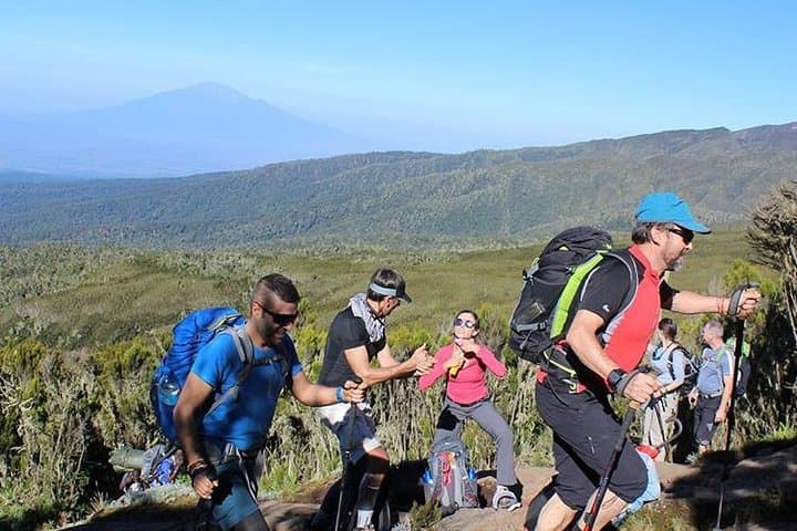 Kilimanjaro Day Trip from Arusha or Moshi — Rainforest Hike, Wildlife & Local Culture photo 2