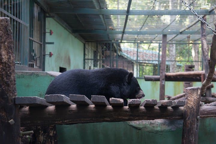 Private Minivan to Kuang Si & Tad Sae from Luang Prabang: Custom Day Trips photo 4