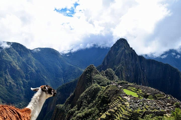 Machu Picchu Official Entrance Ticket — Secure Fast, Flexible Access to the Inca Citadel photo 2