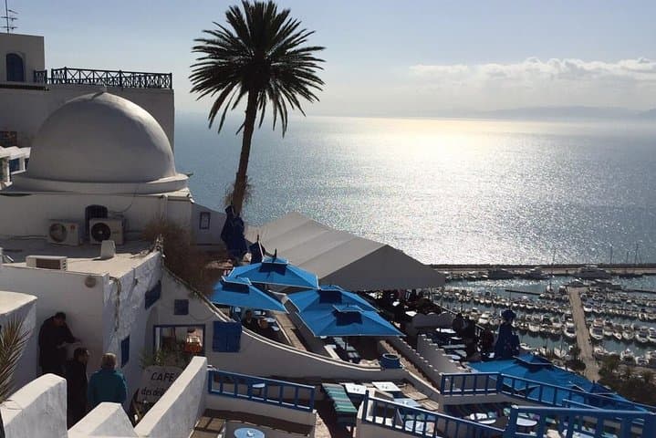 Tunis Shore Excursion: Medina, Carthage & Sidi Bou Said in One Day photo 3